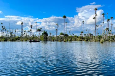 Tour Puerto Maldonado y lago Yacumama 4 dias