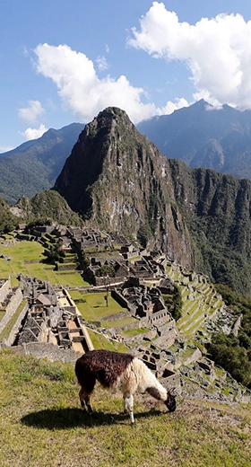 Tour a Pachacamac el Templo Inca más importante de Lima (Grupos Pequeños)