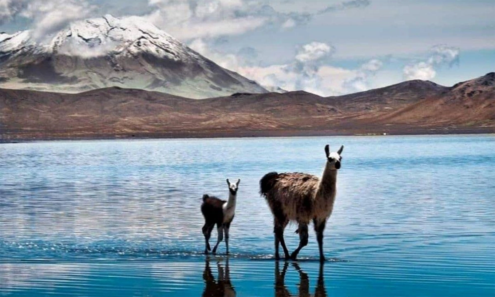 Experiências desejadas vs. expectativas reais para turistas brasileiros no Peru