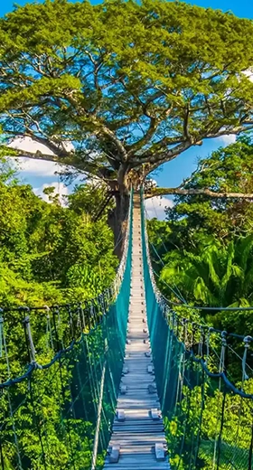 Refugio Amazónico Premium – Inkaterra Experience | 3D/2N