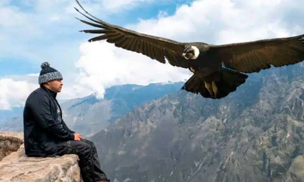 Tour Cañón del Colca 2D con conexión al Lago Titicaca |Puno|