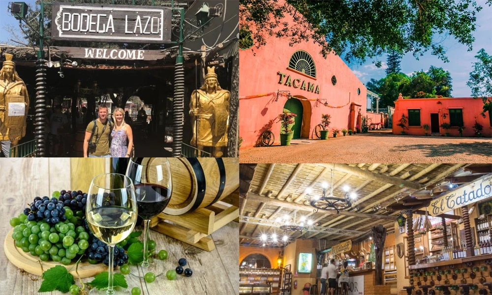 Tour Full Day Desértico | Pisco, Cultura y Oasis de Huacachina