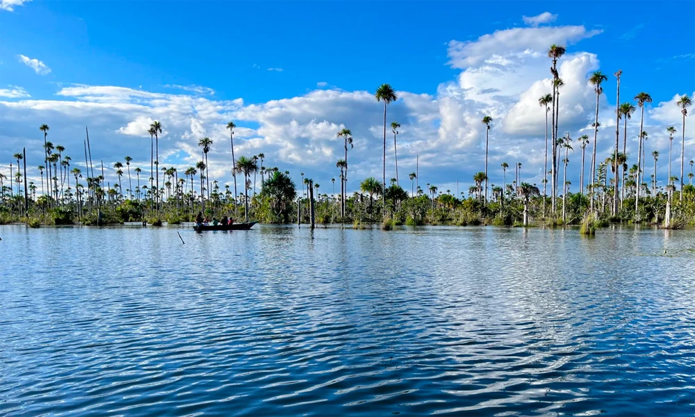 Excursão a Puerto Maldonado e ao lago Yacumama, 4 dias