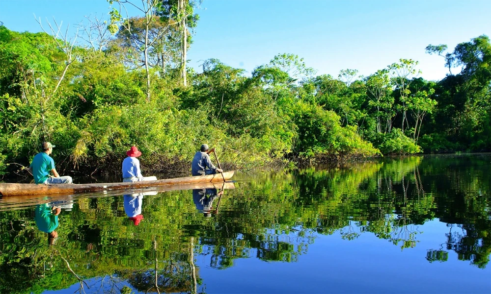 Excursão à colpa de papagaios no Lago Sandoval