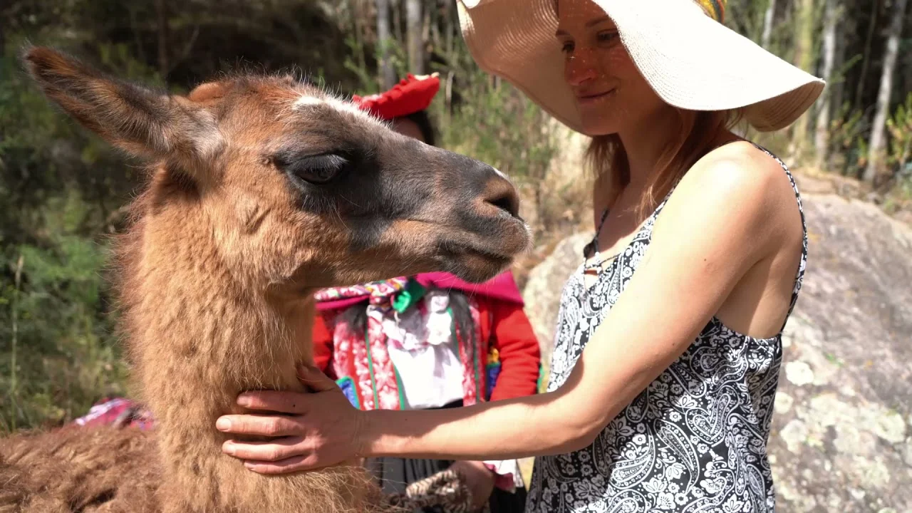 Alpaca Therapy and Clay Healing Tour in Cusco/Spiritual Connection and Nature