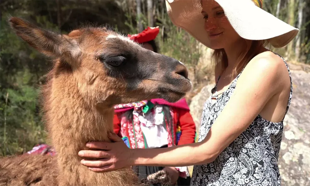 Tour de Alpaterapia e Cura com Argila em Cusco/Conexão Espiritual e Natureza