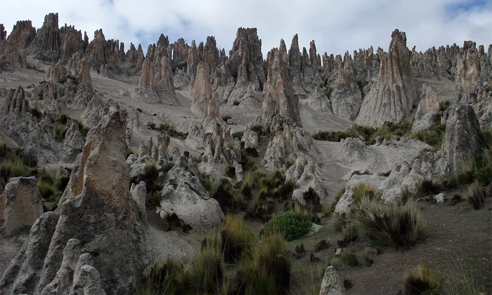 Enchanted Landscape Tour | Pillones Waterfall + Stone Forest
