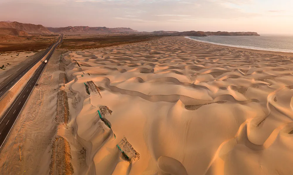 Sechura Desert (Piura)