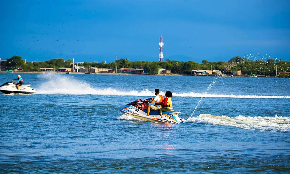 La Isla Hueso de Ballena