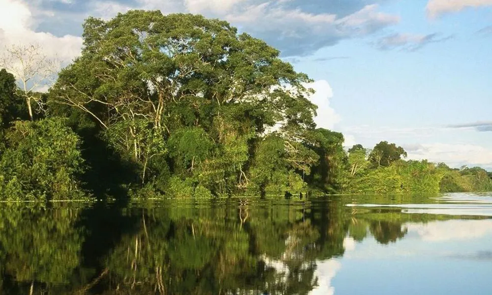 Laguna Rimachi (selva profunda)