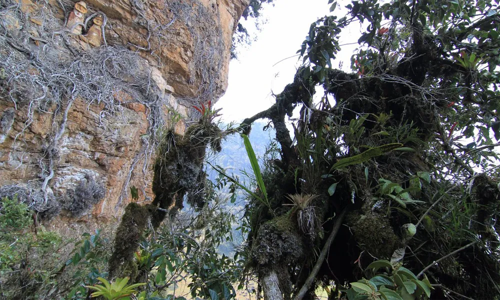 Sarcophagi of Karajía