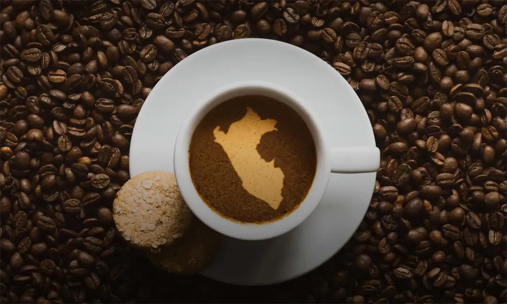 The Coffee Route in Cusco