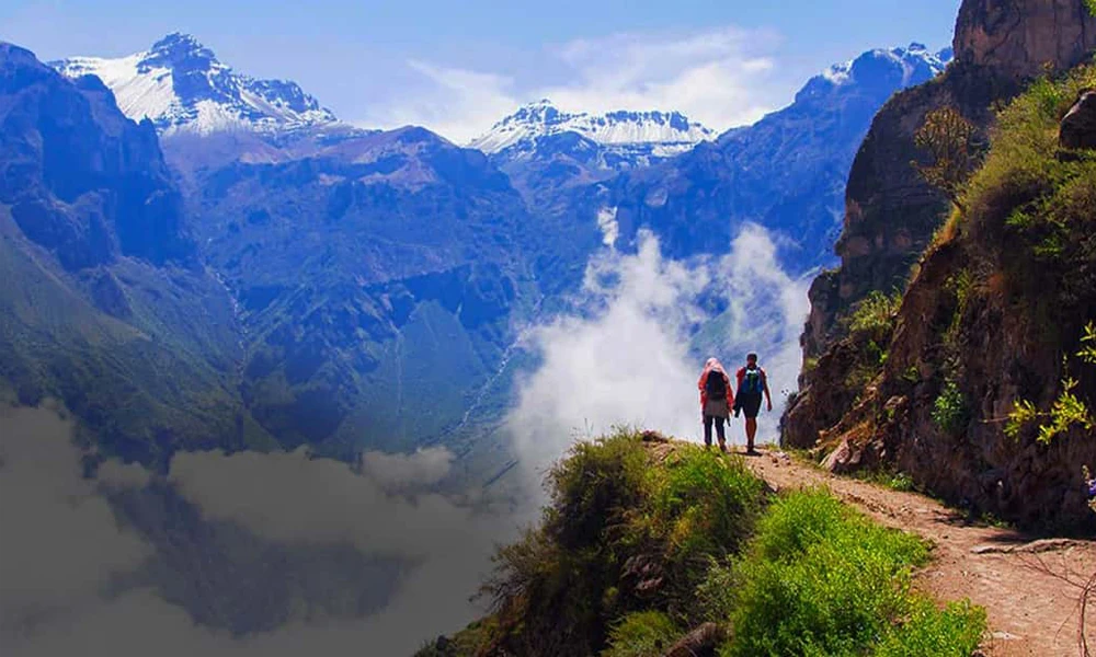 Intense Colca Canyon Tour + Andean Connection to Puno