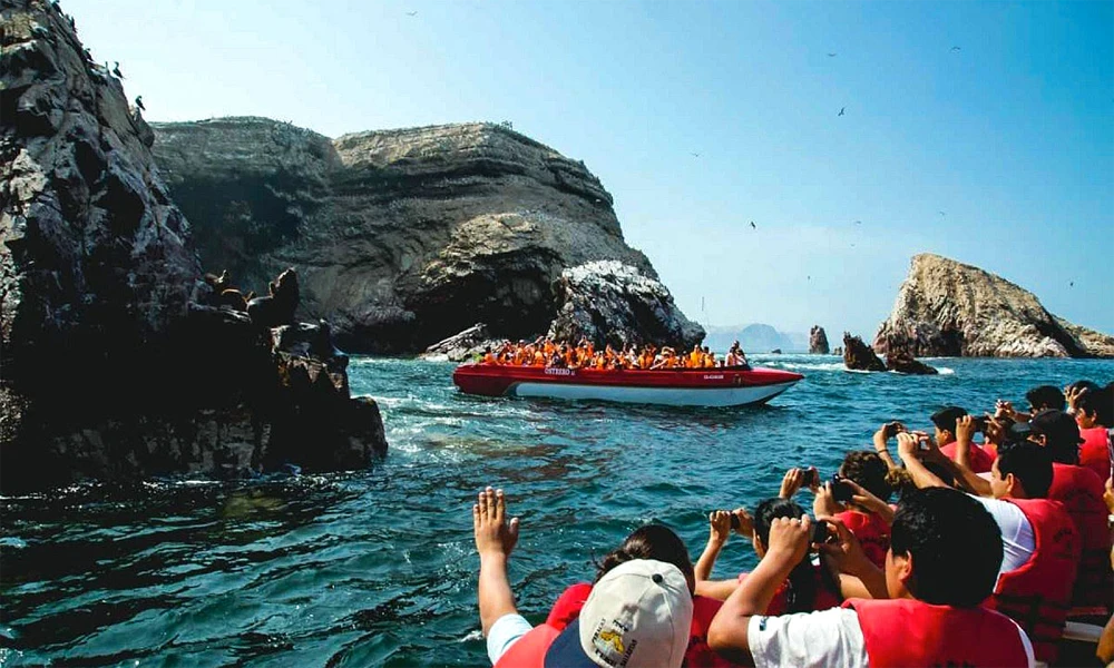 Tour Entre el Mar y el Desierto | Paracas & Huacachina Full Day