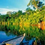 Rutas del Café en Perú