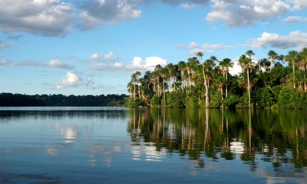 Expedição na Amazônia: Lago Sandoval 4D/3N