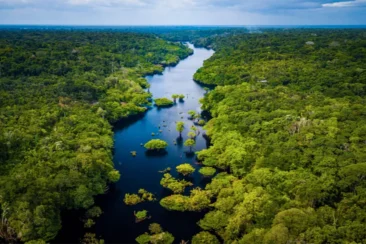 Zona Cultural del Manu 4 Días / 3 Noches | Aventura