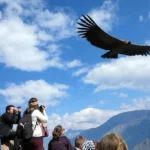 Descubre los mejores tips para viajar a Perú: requisitos, consejos de salud, seguridad, transporte, cultura y qué llevar en tu maleta.