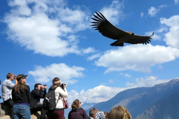 Descubre los mejores tips para viajar a Perú: requisitos, consejos de salud, seguridad, transporte, cultura y qué llevar en tu maleta.