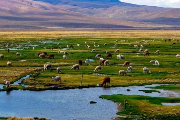Cusco, a capital do Império Inca