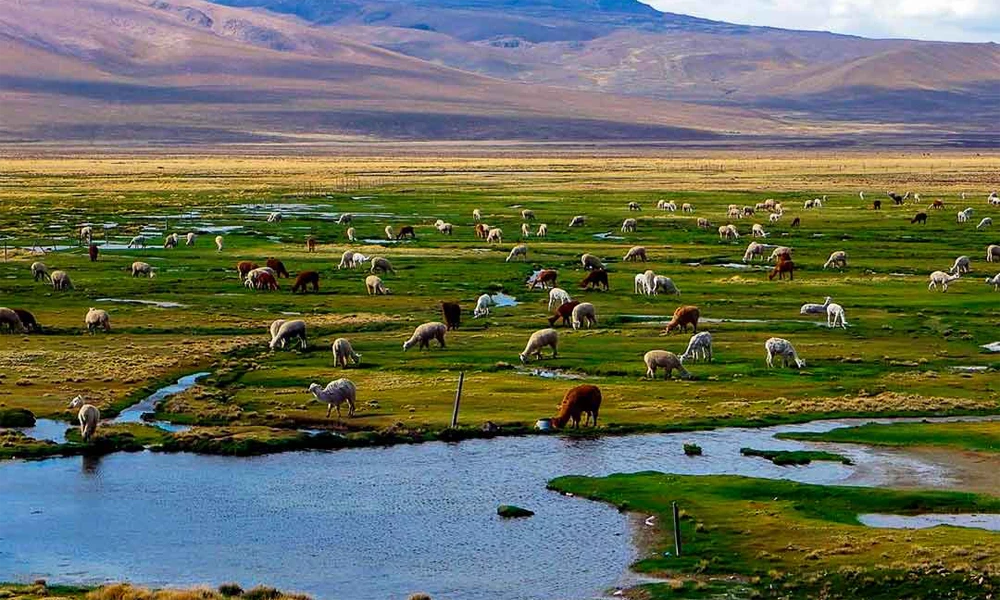 Cusco, a capital do Império Inca